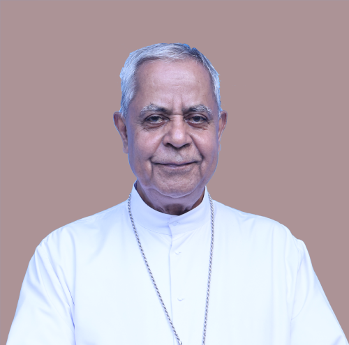 Biblical Apostolate in North East India: Opportunities and Visions for the Future